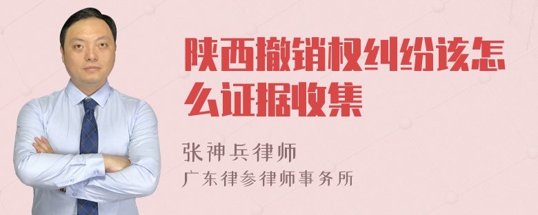 陕西撤销权纠纷该怎么证据收集