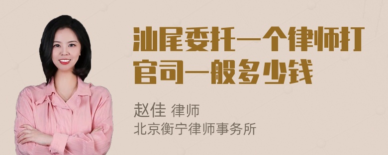 汕尾委托一个律师打官司一般多少钱