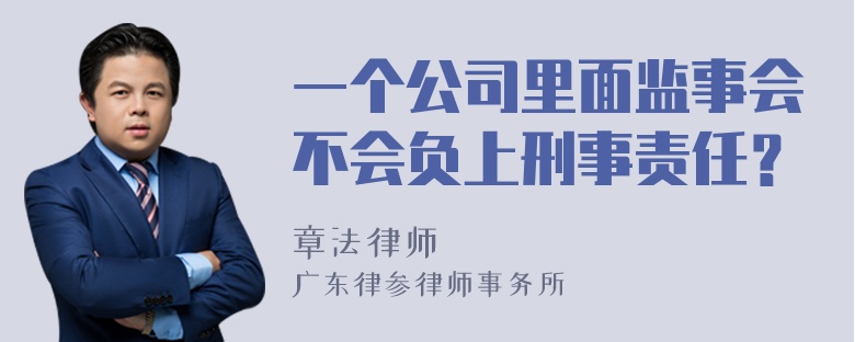 一个公司里面监事会不会负上刑事责任？