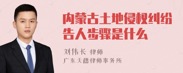 内蒙古土地侵权纠纷告人步骤是什么