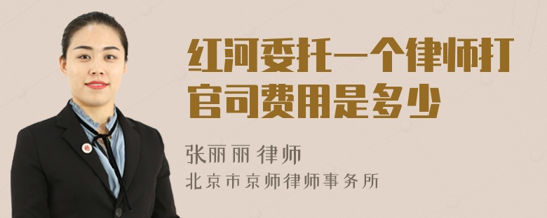 红河委托一个律师打官司费用是多少