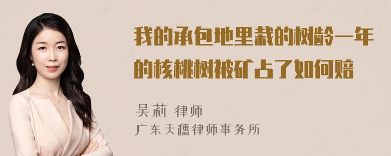 我的承包地里栽的树龄一年的核桃树被矿占了如何赔