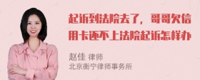 起诉到法院去了，哥哥欠信用卡还不上法院起诉怎样办