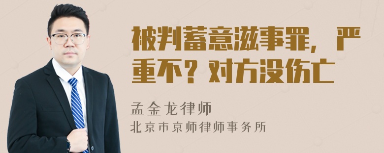 被判蓄意滋事罪，严重不？对方没伤亡