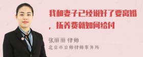 我和妻子已经说好了要离婚，抚养费就如何给付