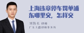 上海违章停车罚单浦东哪里交，怎样交