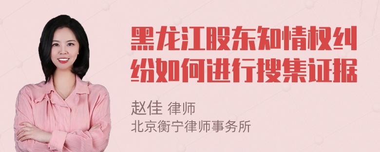 黑龙江股东知情权纠纷如何进行搜集证据