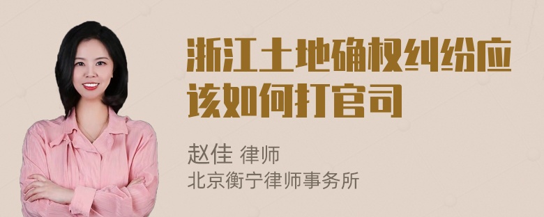 浙江土地确权纠纷应该如何打官司