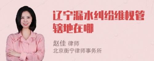 辽宁漏水纠纷维权管辖地在哪