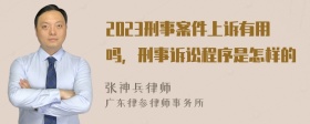 2023刑事案件上诉有用吗，刑事诉讼程序是怎样的
