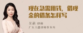 现在急需用钱，借现金的借条怎样写