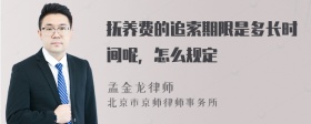 抚养费的追索期限是多长时间呢，怎么规定