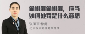 偷税罪偷税罪，应当如何处罚是什么意思