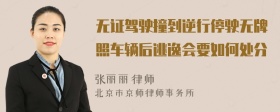 无证驾驶撞到逆行停驶无牌照车辆后逃逸会要如何处分