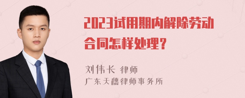 2023试用期内解除劳动合同怎样处理？