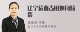 辽宁荒山占用如何赔偿
