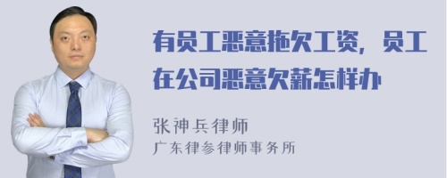 有员工恶意拖欠工资，员工在公司恶意欠薪怎样办