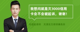 我想问就是欠3000信用卡会不会被起诉，谢谢！
