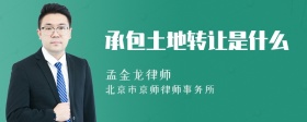承包土地转让是什么