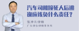汽车司机撞死人后逃逸应该负什么责任？