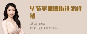 毕节苹果树拆迁怎样给