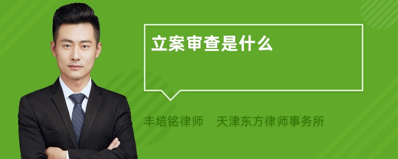 立案审查是什么