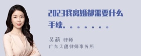 2023我离婚都需要什么手续。。。。。。。