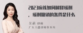 2023应该如何解释缓刑，缓刑撤销的条件是什么