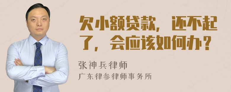 欠小额贷款，还不起了，会应该如何办？