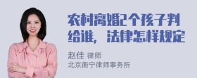 农村离婚2个孩子判给谁，法律怎样规定