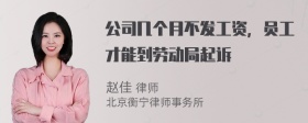 公司几个月不发工资，员工才能到劳动局起诉