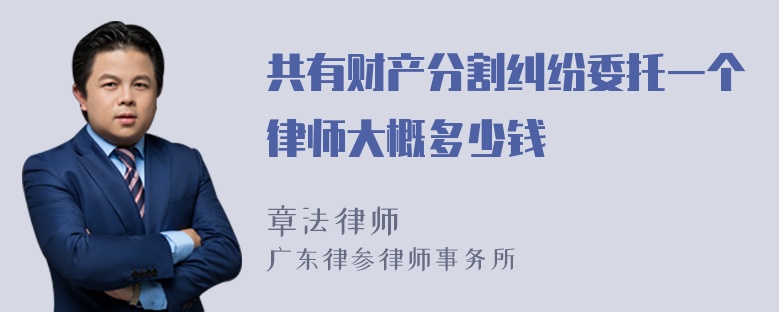 共有财产分割纠纷委托一个律师大概多少钱