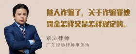 被人诈骗了，关于诈骗罪处罚金怎样交是怎样规定的。