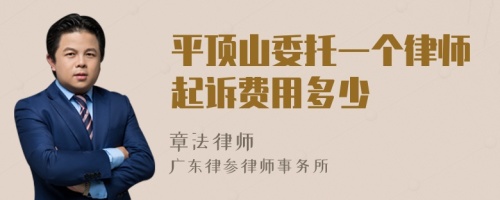 平顶山委托一个律师起诉费用多少