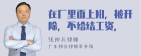 在厂里面上班，被开除，不给结工资，
