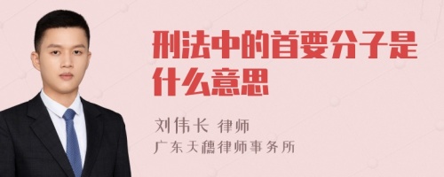 刑法中的首要分子是什么意思