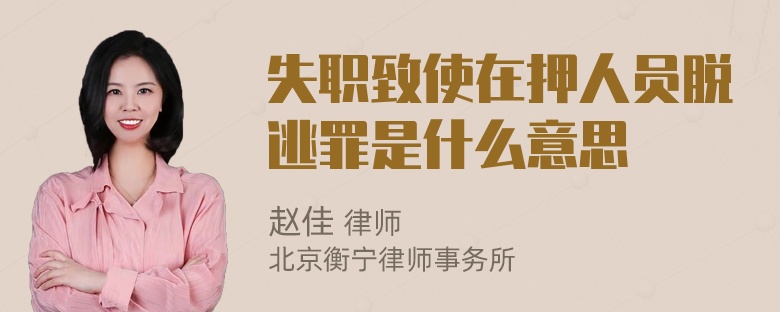 失职致使在押人员脱逃罪是什么意思