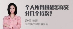 个人所得税是怎样交分几个档次？