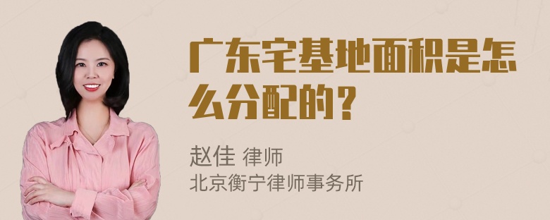 广东宅基地面积是怎么分配的？