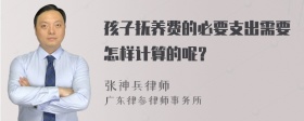 孩子抚养费的必要支出需要怎样计算的呢？
