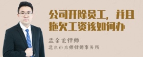 公司开除员工，并且拖欠工资该如何办