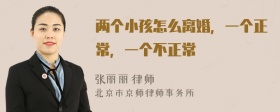 两个小孩怎么离婚，一个正常，一个不正常