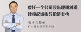 委托一个公司股东股权纠纷律师起诉指导价是多少