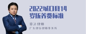 2022城口县14岁抚养费标准