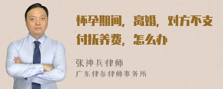 怀孕期间，离婚，对方不支付抚养费，怎么办