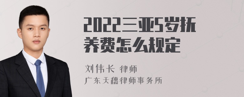 2022三亚5岁抚养费怎么规定