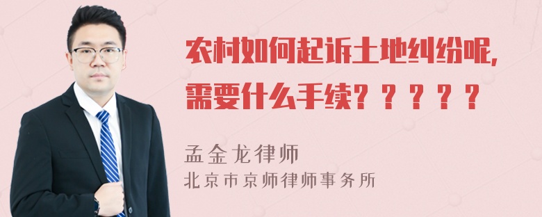 农村如何起诉土地纠纷呢，需要什么手续？？？？？