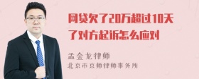 网贷欠了20万超过10天了对方起诉怎么应对