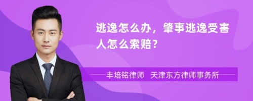 逃逸怎么办，肇事逃逸受害人怎么索赔？