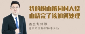 我的树山被同村人烧山烧完了该如何处理